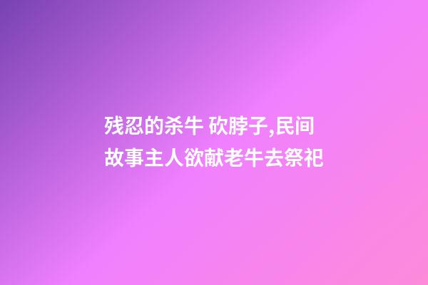 残忍的杀牛 砍脖子,民间故事主人欲献老牛去祭祀-第1张-观点-玄机派